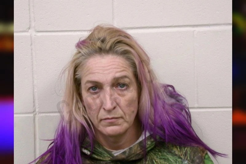 Wanda Driggers Mugshots