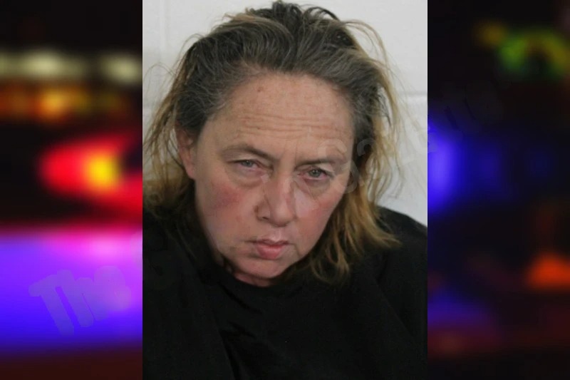 Wanda Nelson Mugshots