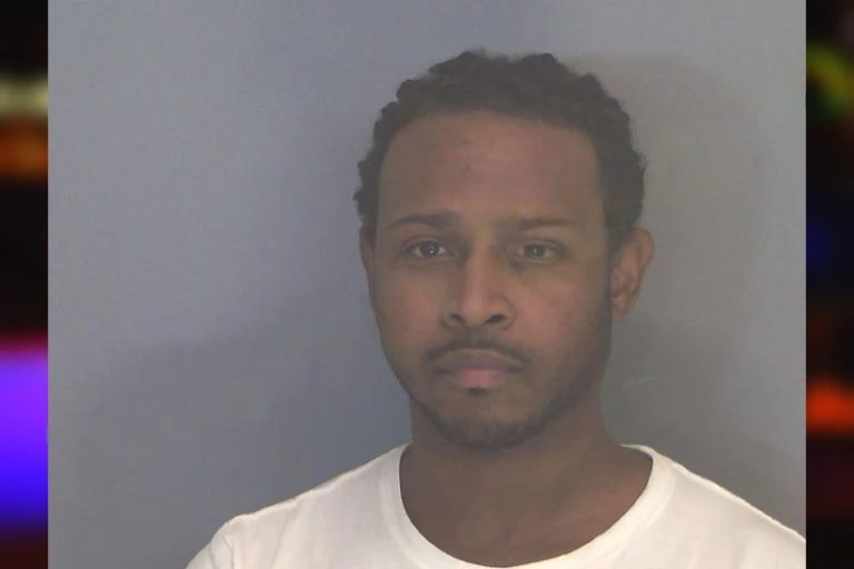 Wayne Gore mugshot – Douglas County , Georgia Wayne Gore