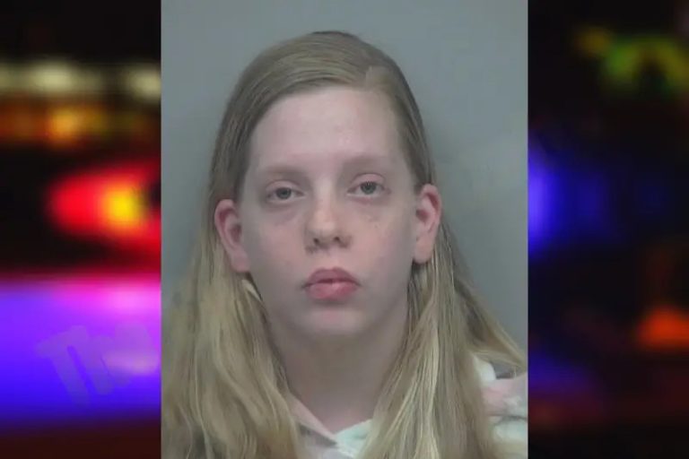 Whitney Juhnke mugshot – Paulding County , Georgia Whitney Juhnke