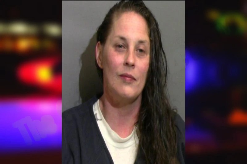 Whitney Stalvey Mugshots