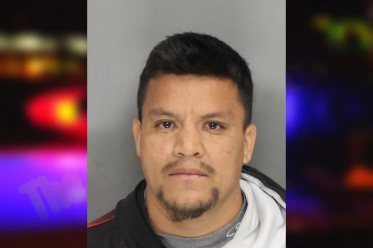 Wilver Reyes mugshot – Cobb County , Georgia Wilver Reyes