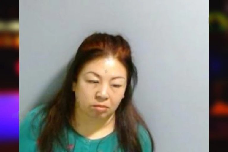 Xu Xueoin mugshot – Fulton County , Georgia Xu Xueoin