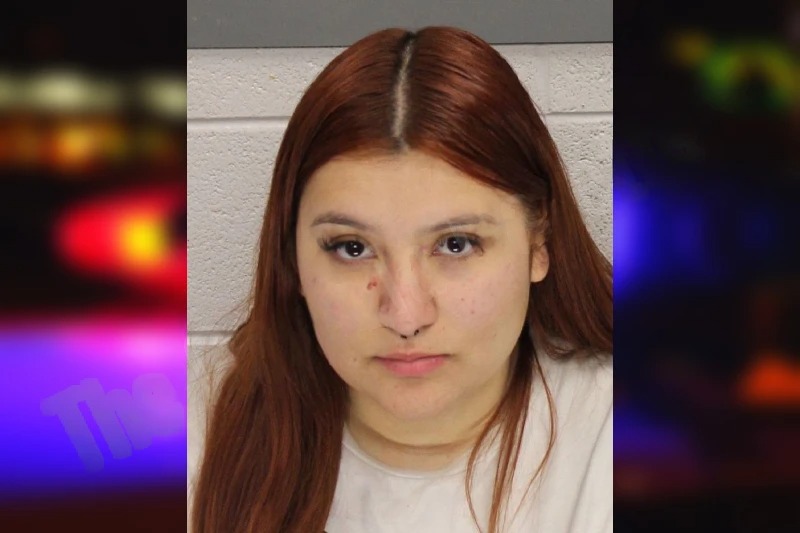 Yairez Reyes mugshot