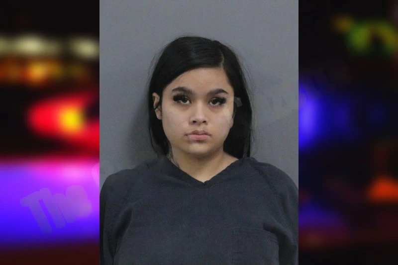 Yajaira Sparks mugshot