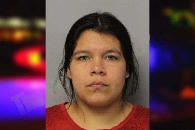 Yaricsa Espinoza-Dallosso mugshot – Hall County , Georgia Yaricsa Espinoza-Dallosso