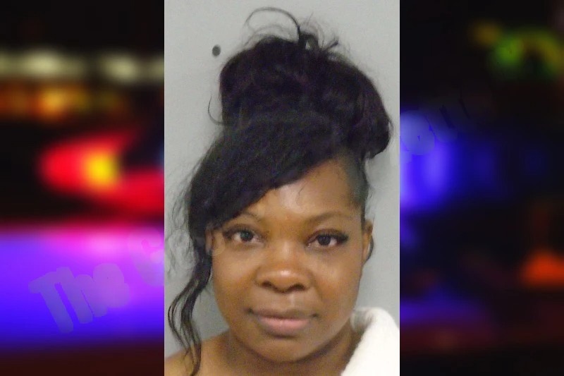 Yawnica Scott Mugshots