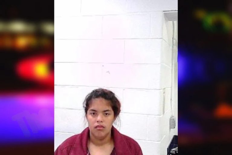 Yenifer Camacho mugshot – Fulton County , Georgia Yenifer Camacho