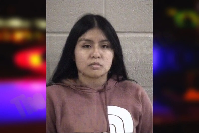 Yesica Tercero Bautista Mugshots