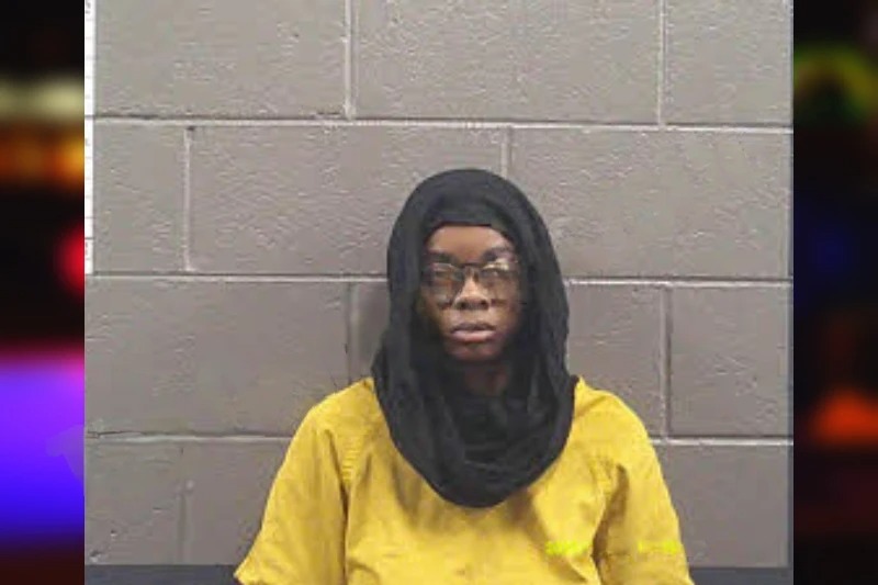 Yhadira Castillo mugshot