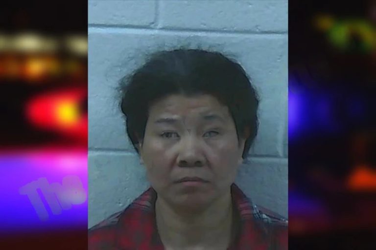 Yizhu Lin mugshot – Jackson County , Georgia Yizhu Lin