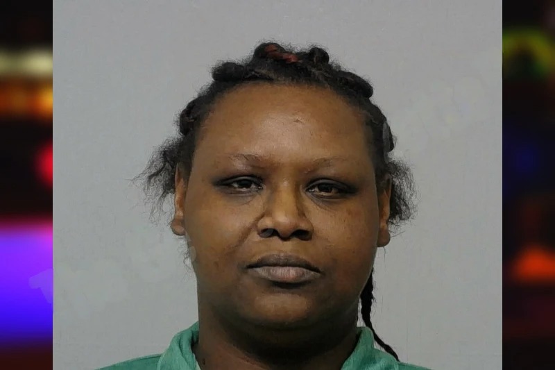 Yolanda Williams Mugshots