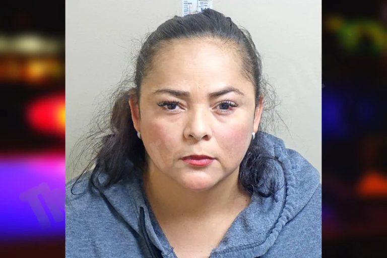 Yudelis Medina-Contreras mugshot – Gwinnett County , Georgia Yudelis Medina-Contreras