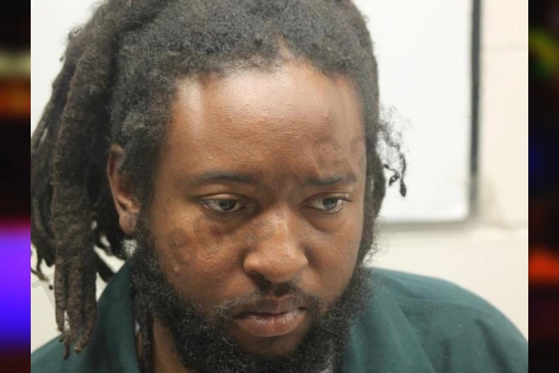 Zoe Taussaint mugshot – Chatham County , Georgia Zoe Taussaint mugshot