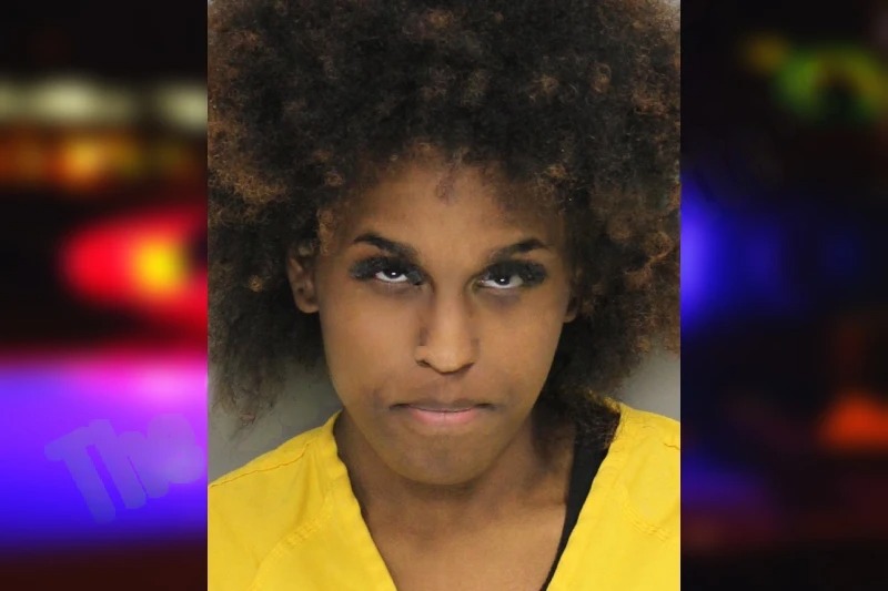 Zyon Johnson mugshot – Cobb County , Georgia Zyon Johnson mugshot