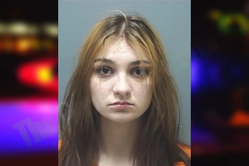 Addison Collini Mugshots