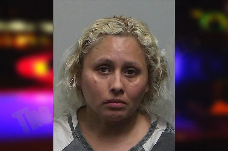 Adela Hernandez mugshot