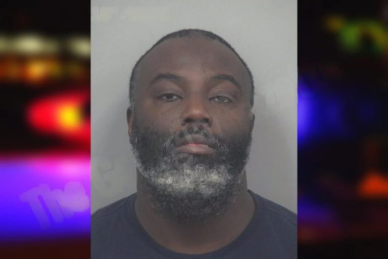 Ademola Tinubu mugshot – Chatham County , Georgia Ademola Tinubu