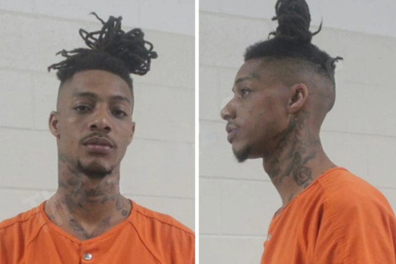 Airin Dixon Mugshots