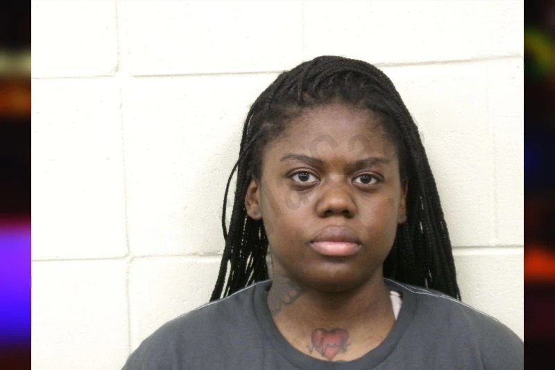 Airryel Williams Mugshots