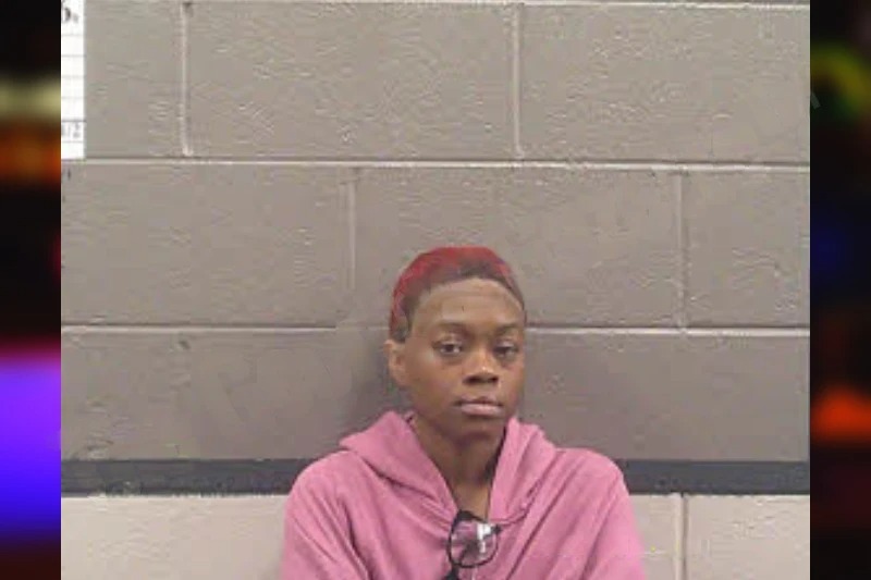 Aislinn Holloway mugshot – Banks County , Georgia Aislinn Holloway mugshot