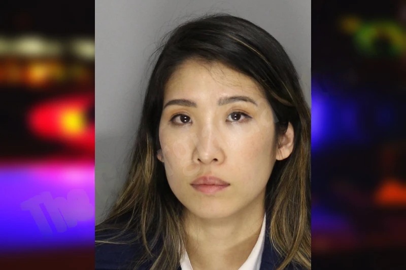 Alang Baek mugshot – Cobb County , Georgia Alang Baek mugshot