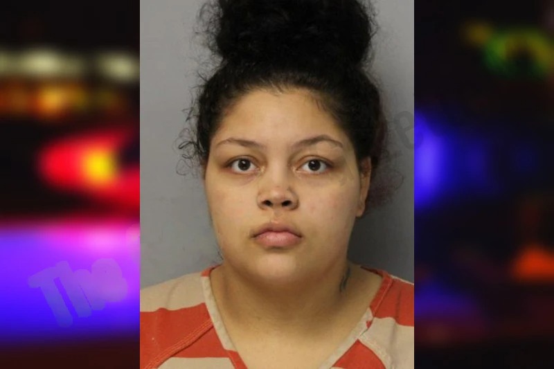 Alanna Holmes mugshot