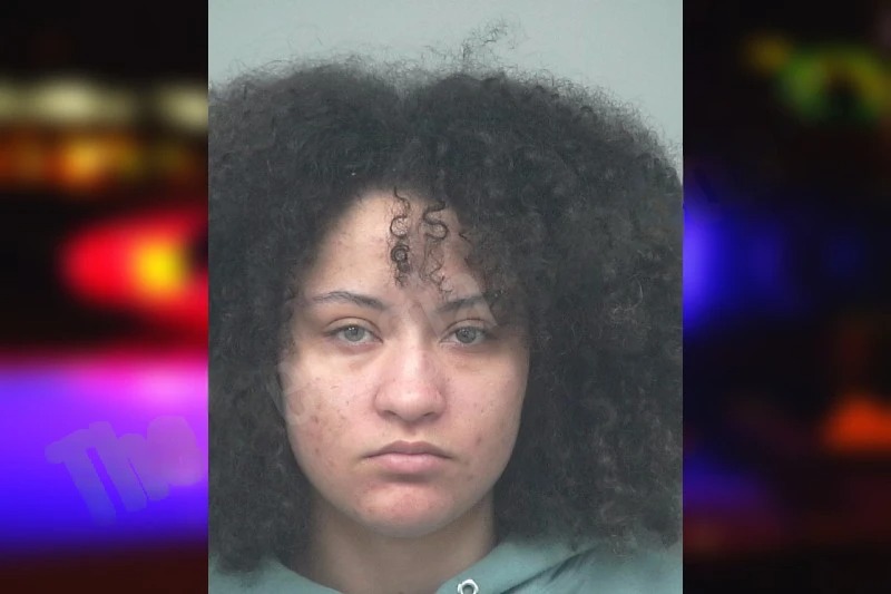 Aleigha Moore Mugshots