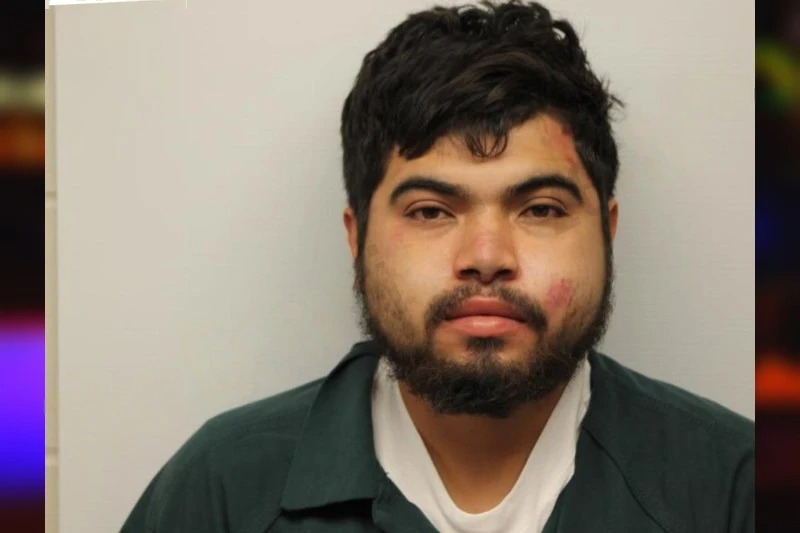 Alex Bellorin Torres Mugshots