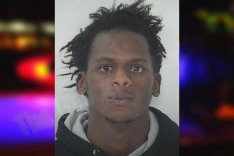 Alex Louis mugshot – Fayette County , Georgia Alex Louis