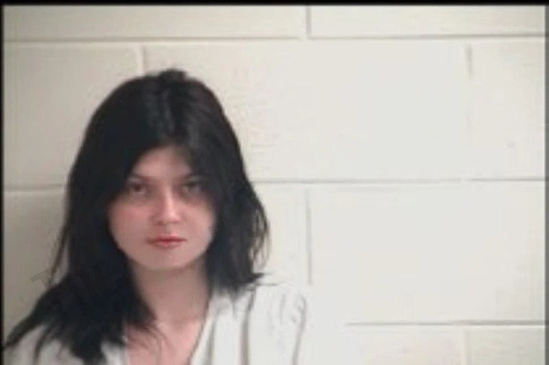 Alexia Sweatman mugshot – Henry County , Georgia Alexia Sweatman mugshot
