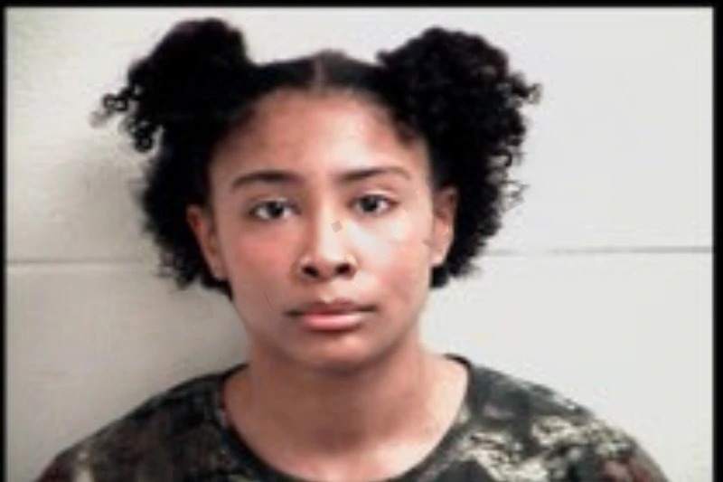 Alexis Brown Mugshots