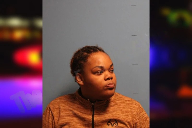 Alexis Cochran Mugshots