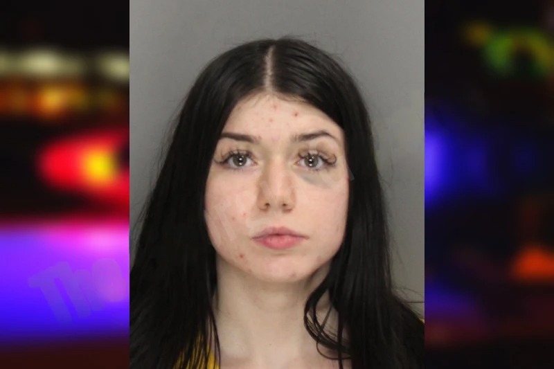 Alexys Smith mugshot – Cobb County , Georgia Alexys Smith mugshot