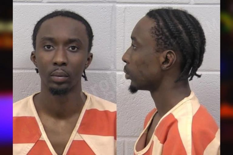 Ali Ceesay mugshot – Paulding County , Georgia Ali Ceesay