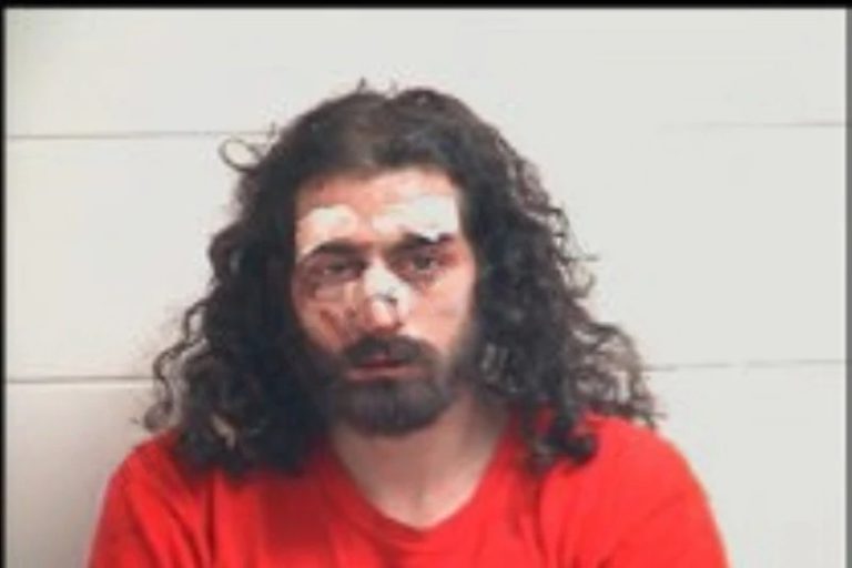 Ali Khan mugshot – Henry County , Georgia Ali Khan