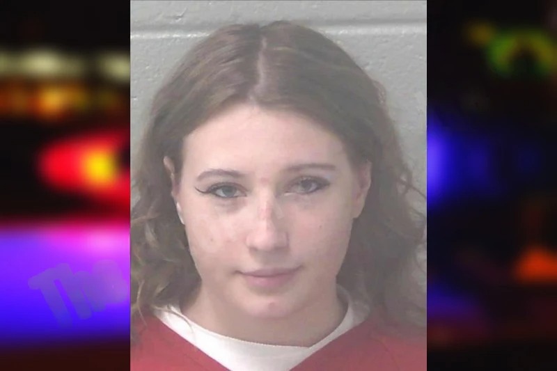 Alice Fowler mugshot – Newton County , Georgia Alice Fowler mugshot