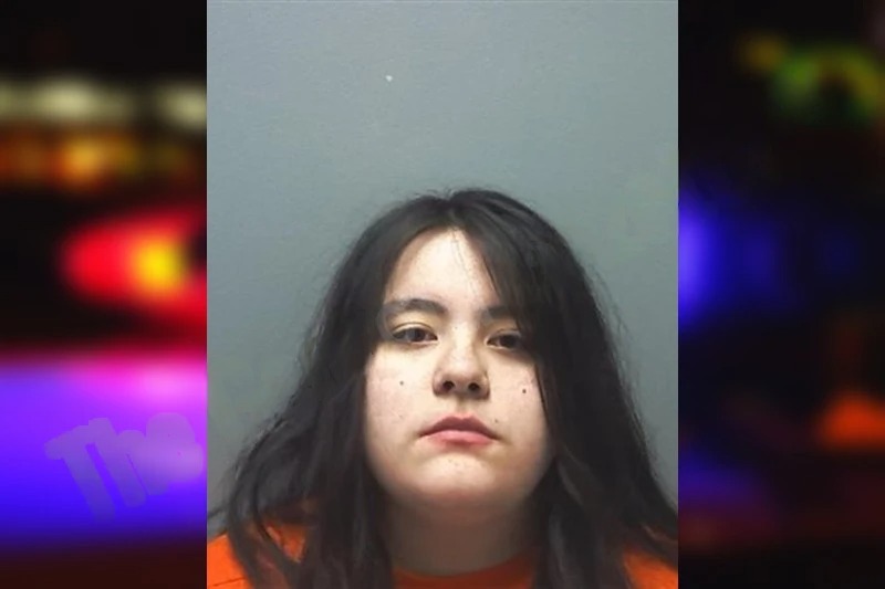 Alicia Gamez Mugshots