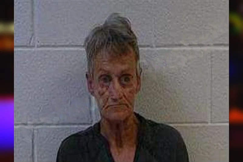 Alicia Mobbs Mugshots