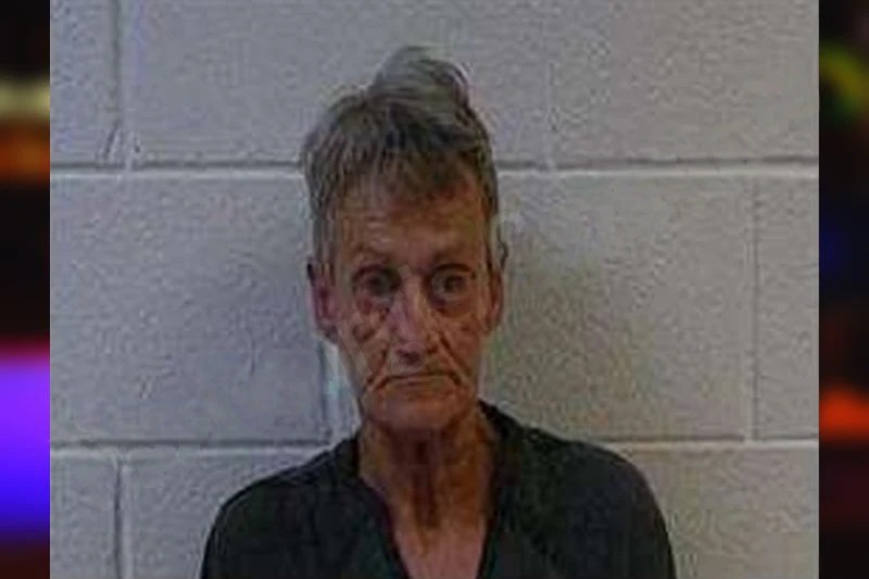 Alicia Mobbs Mugshots