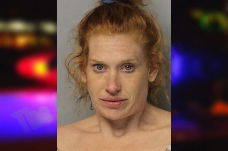 Alisa Fauble mugshot – Hall County , Georgia Alisa Fauble mugshot