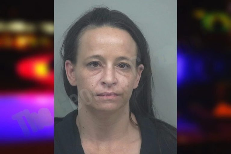 Alisha Boland mugshot – Gwinnett County , Georgia Alisha Boland