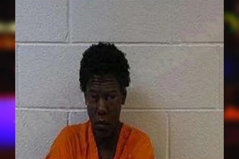 Alisha Rodriguez Mugshots