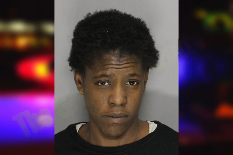 Alisha Rodriguez mugshot