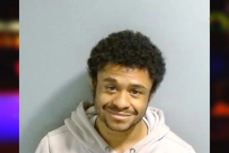 Aliza Fernandez mugshot – Fulton County , Georgia Aliza Fernandez