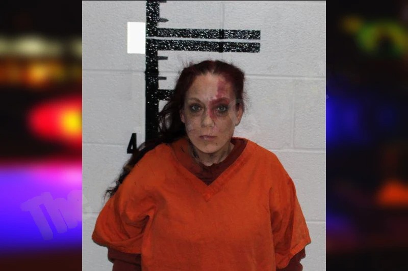 Allison Dickerson mugshot