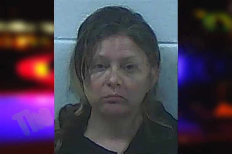 Allison Kubitzky Mugshots