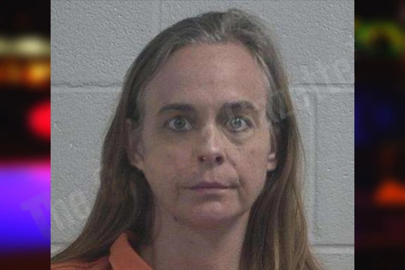 Allison Mattingly mugshot