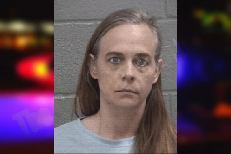 Allison Mattingly mugshot