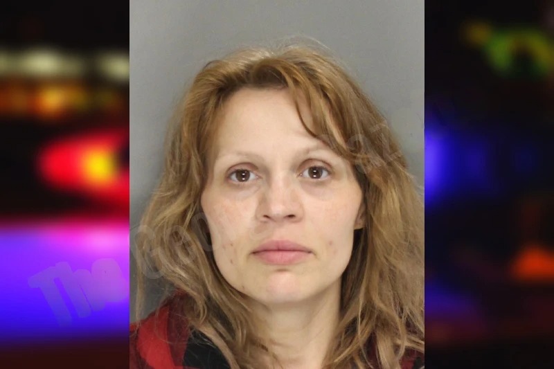 Allison Pena Mugshots